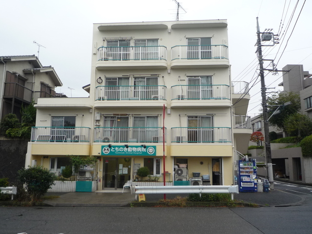 アムール子安
