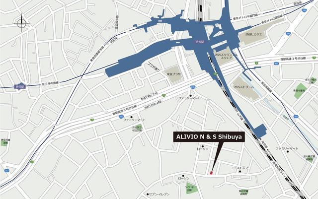 ＡＬＩＶＩＯ　Ｎ＆Ｓ　Ｓｈｉｂｕｙａ