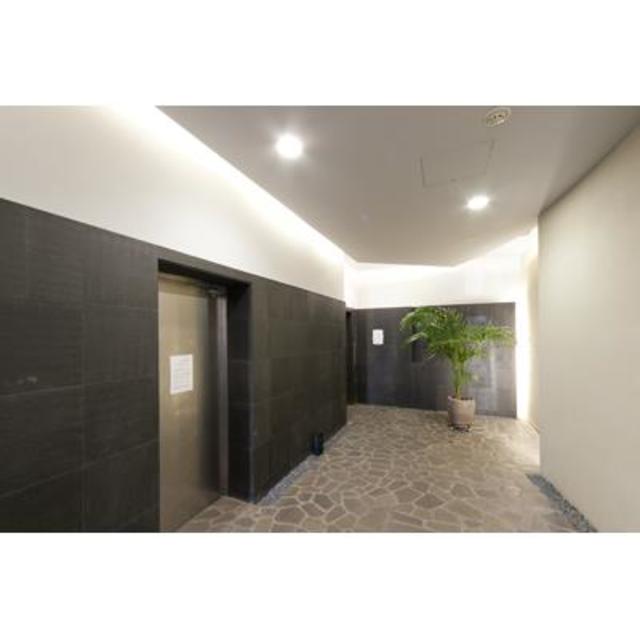 ＰＩＮＥ　ＨＩＬＬＳ　ＳＥＴＡ