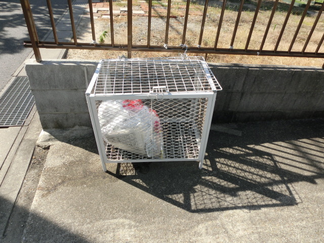 フローレスライフ